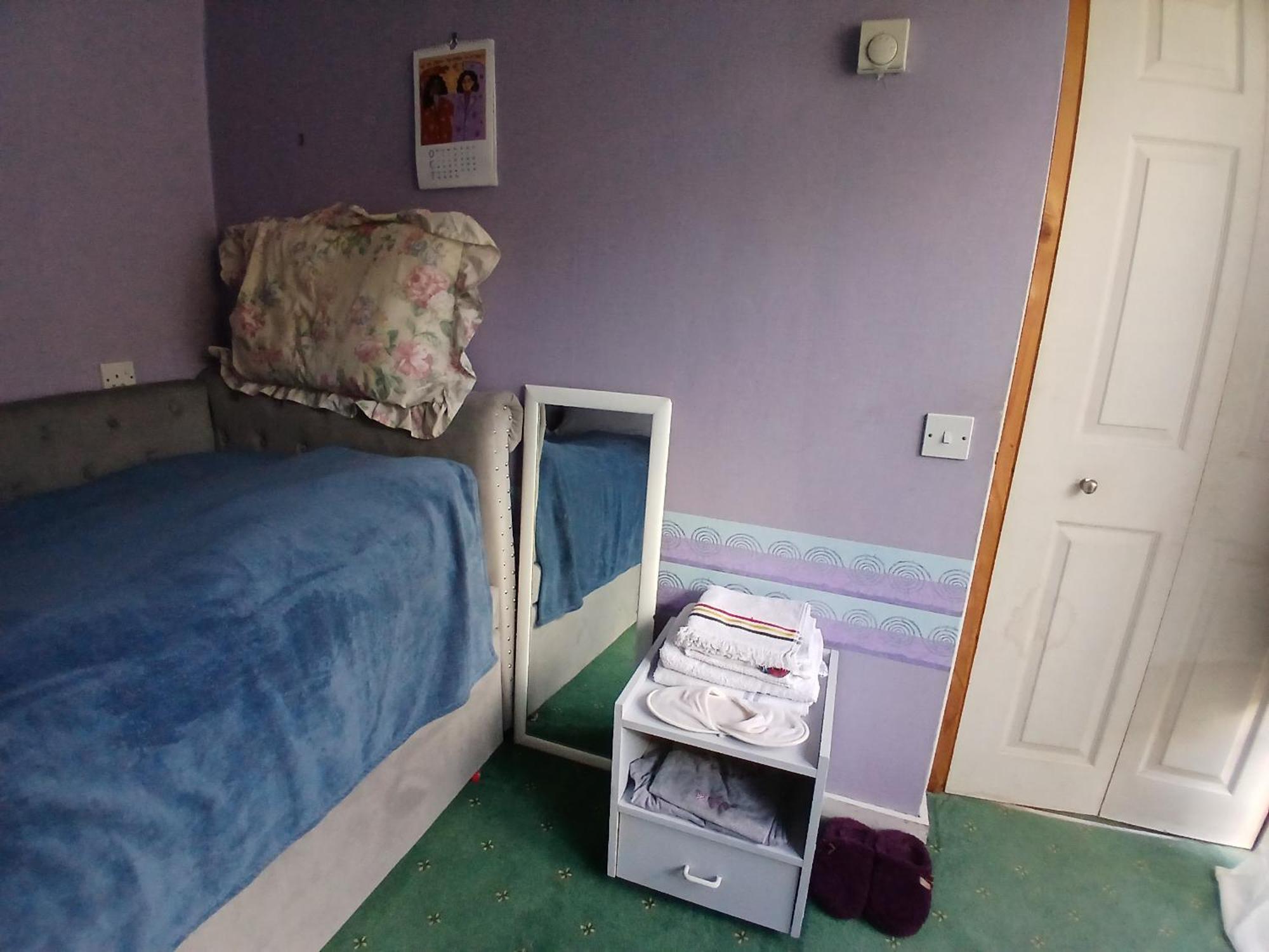 Cosy Single Only For Ladies In Tower Bridge Affittacamere Londra